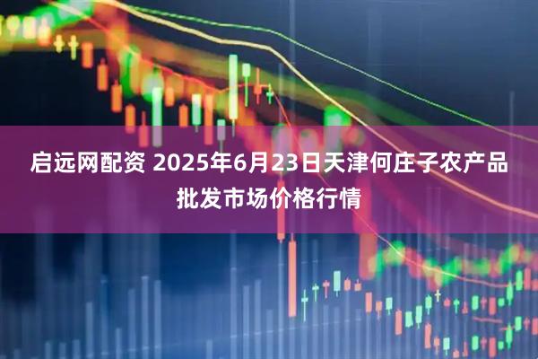 启远网配资 2025年6月23日天津何庄子农产品批发市场价格行情