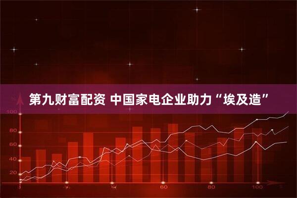 第九财富配资 中国家电企业助力“埃及造”